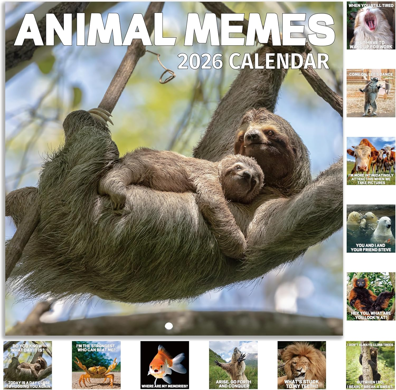 2026 Wall Calendar - 2026 Calendar Funny with Animal Memes, Jan. 2026 - Dec. 2026, 12