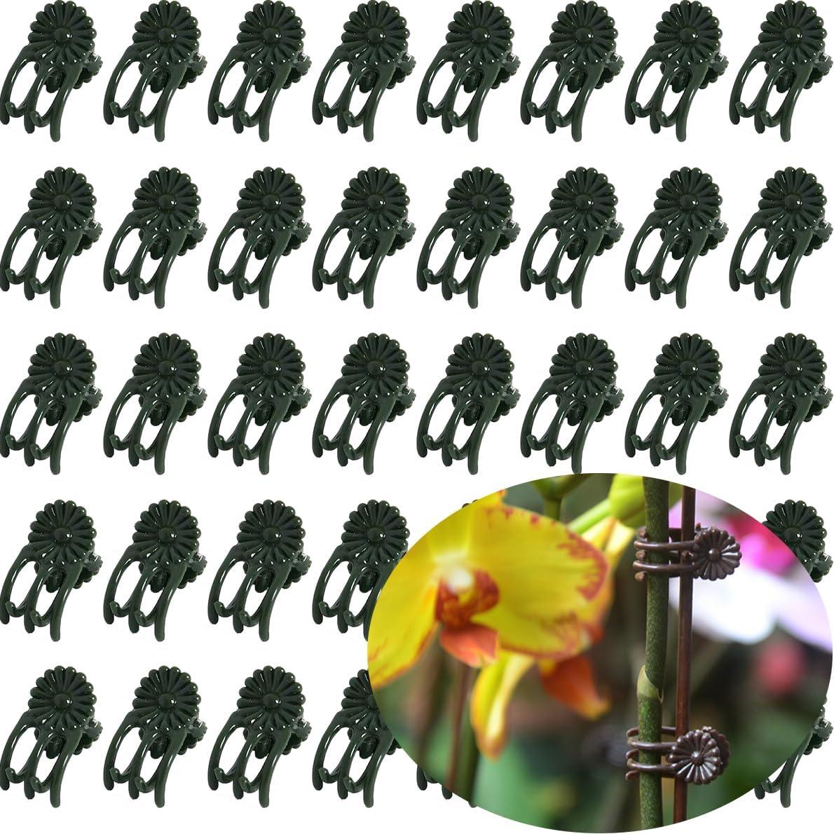 EESC2Y 40-PCs Orchid Clips for Plants Support - Dark Green, for Small - Middl... - Picture 11 of 13