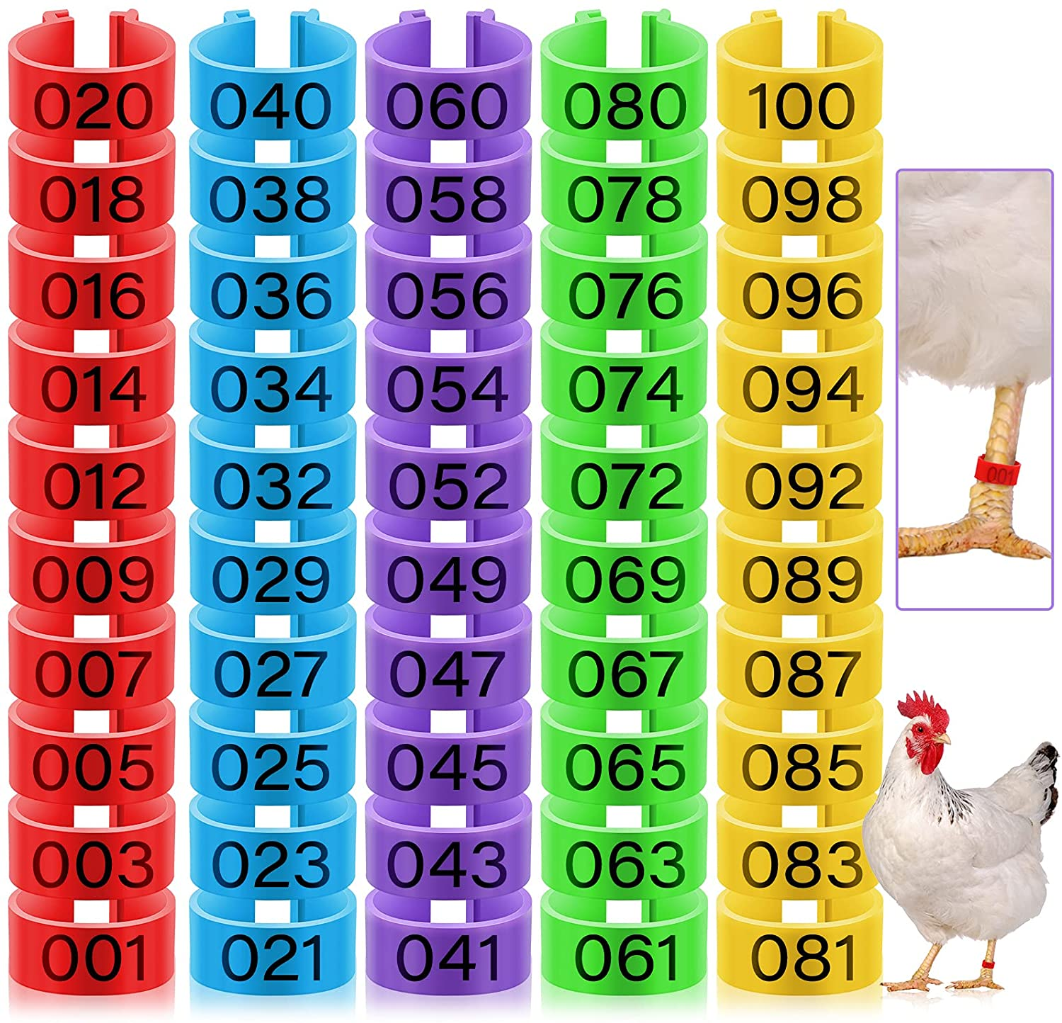 100 Pieces 16 Mm Chicken Leg Rings with 5 Colors Numbered Chicken Leg Bands Colorful Poultry Clip on Leg Bands Chicken Ankle Rings for Ducks Chicks Chicken Guinea Pigeons Goose Gamefowl