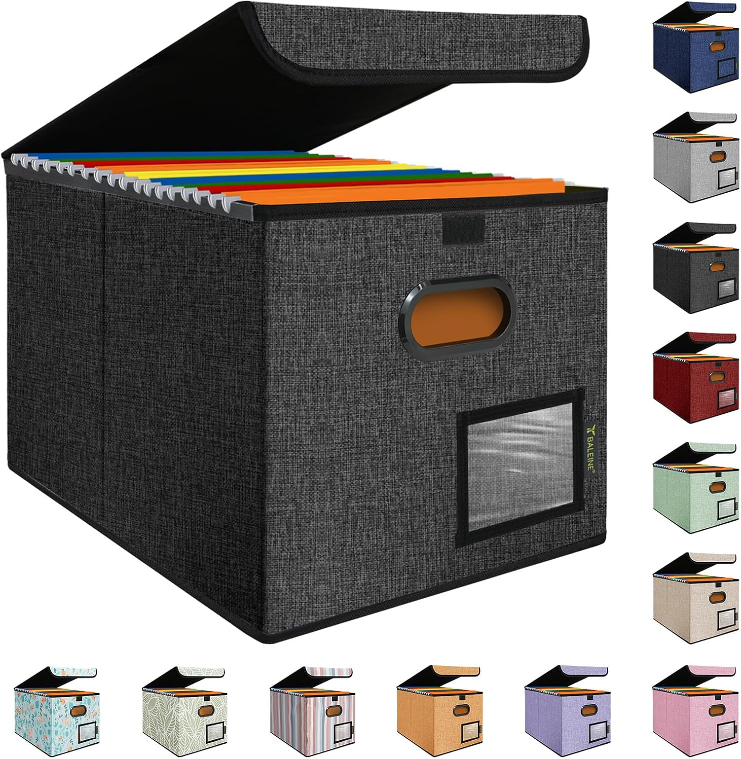 File Organizer Box with Lid, Hanging Folder Storage for Office Documents, Black