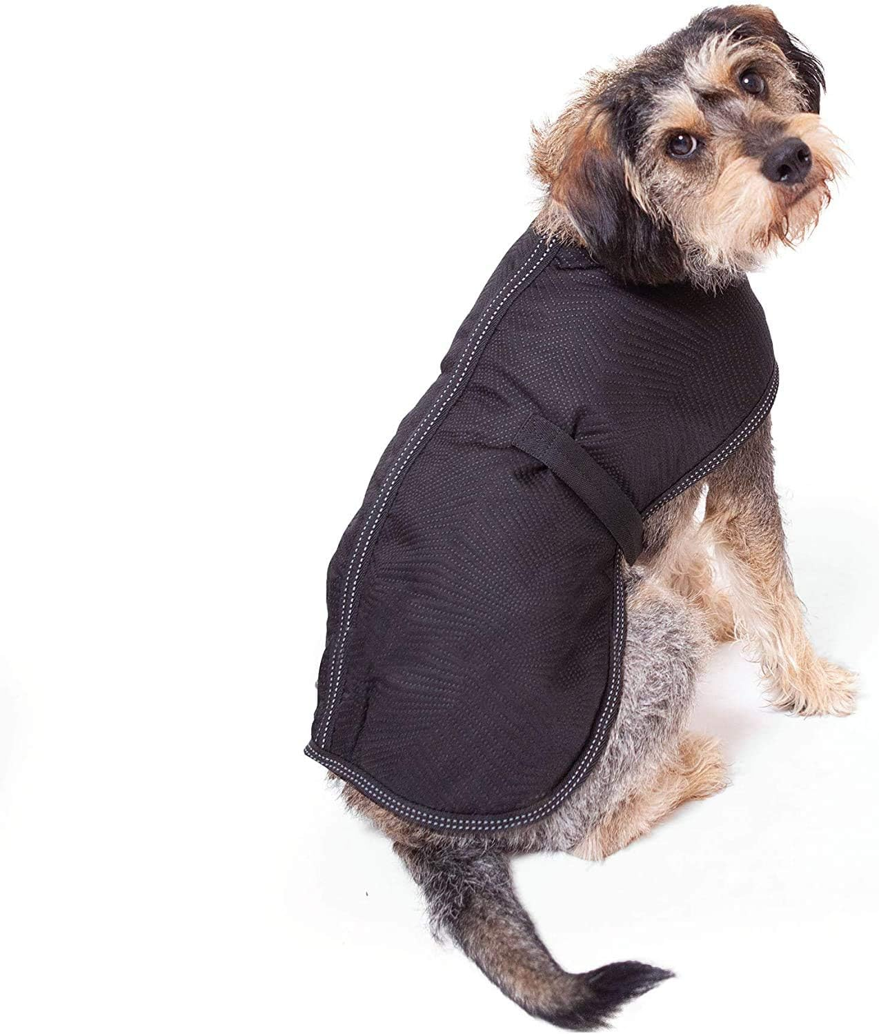 Kazoo Adventure Coat for Dogs, Black, Large - Picture 3 of 14
