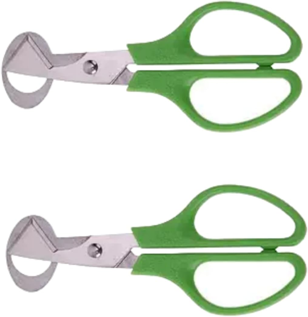 2Pc Green Stainless Steel Egg Cutters, Quail Egg Scissors,Bird Egg Scissors,Egg Shell Cutters, Egg Opener Stainless, Steel Kitchen Shear, Kitchen and Dining
