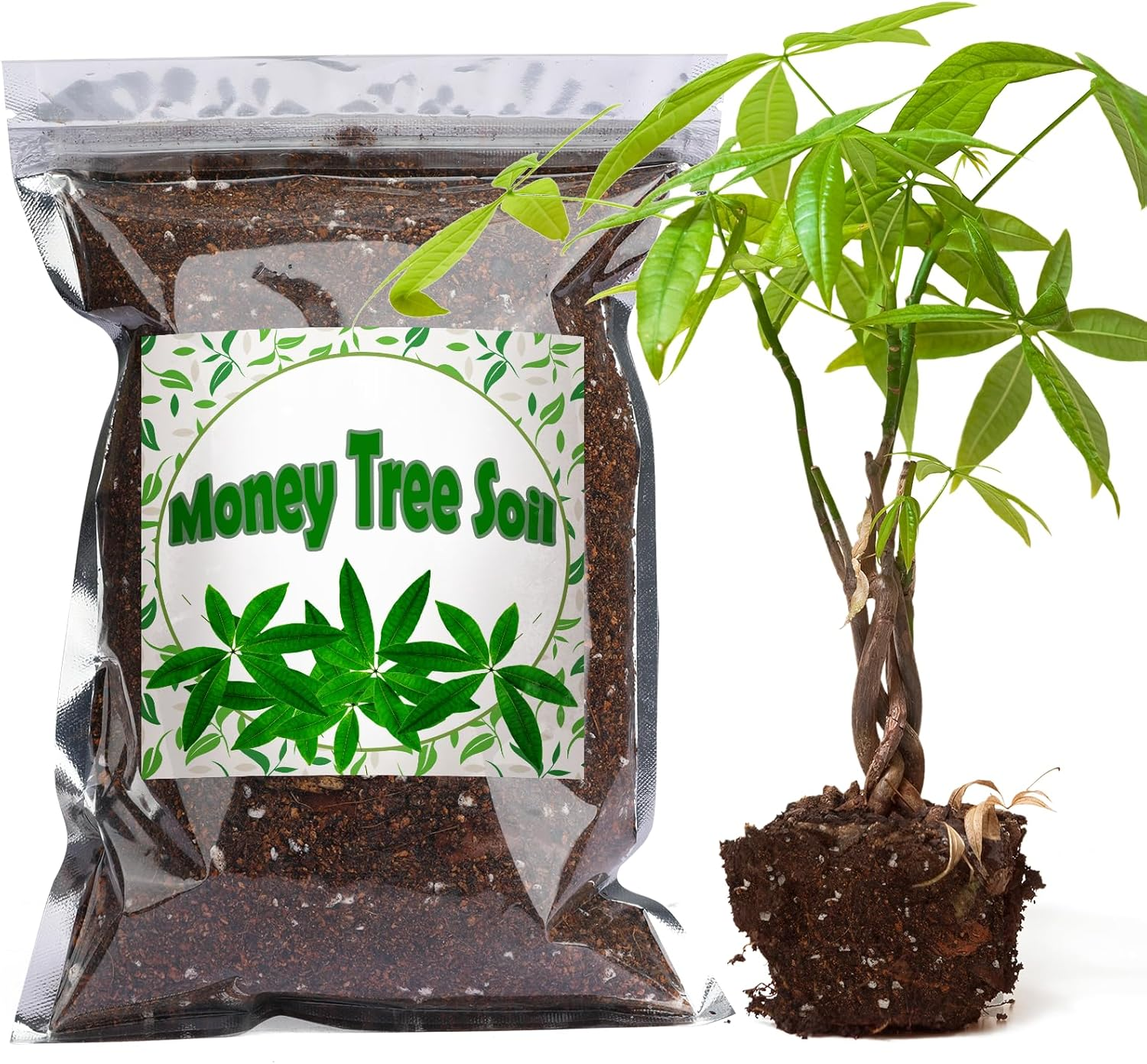 Organic Money Tree Soil Mix 1Qt, Indoor Plants Potting Mix for All Potted  Money | eBay