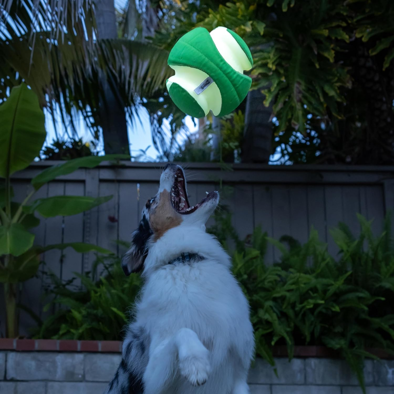 Chuckit! Max Glow Kick Fetch Large, Max Glow Green - Picture 6 of 14