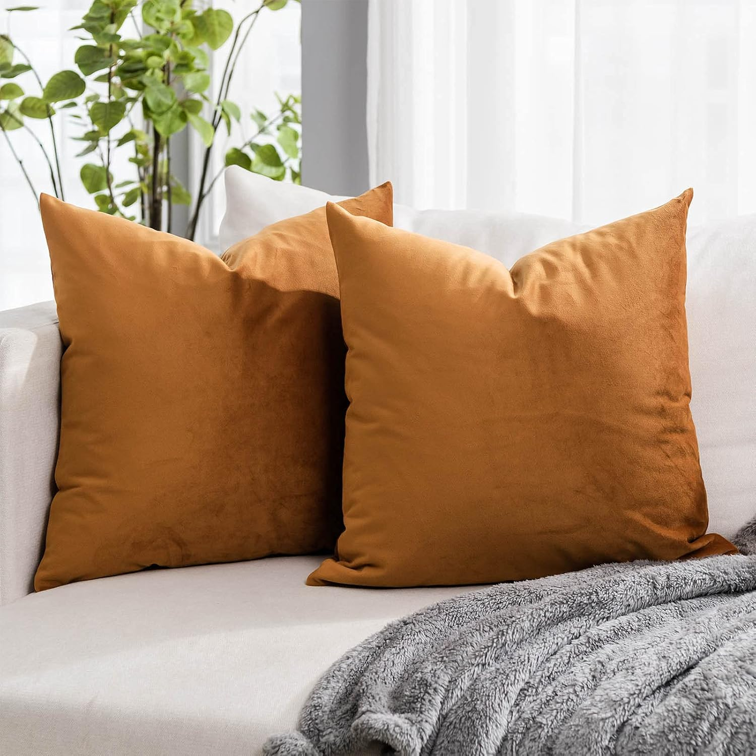 Burnt Orange Soft Velvet Throw Pillow Covers 18X18 Inch Set of 2 for Sofa Couch Bed Living Room Decorative Luxury Solid Square Cushion Covers Case with Zipper