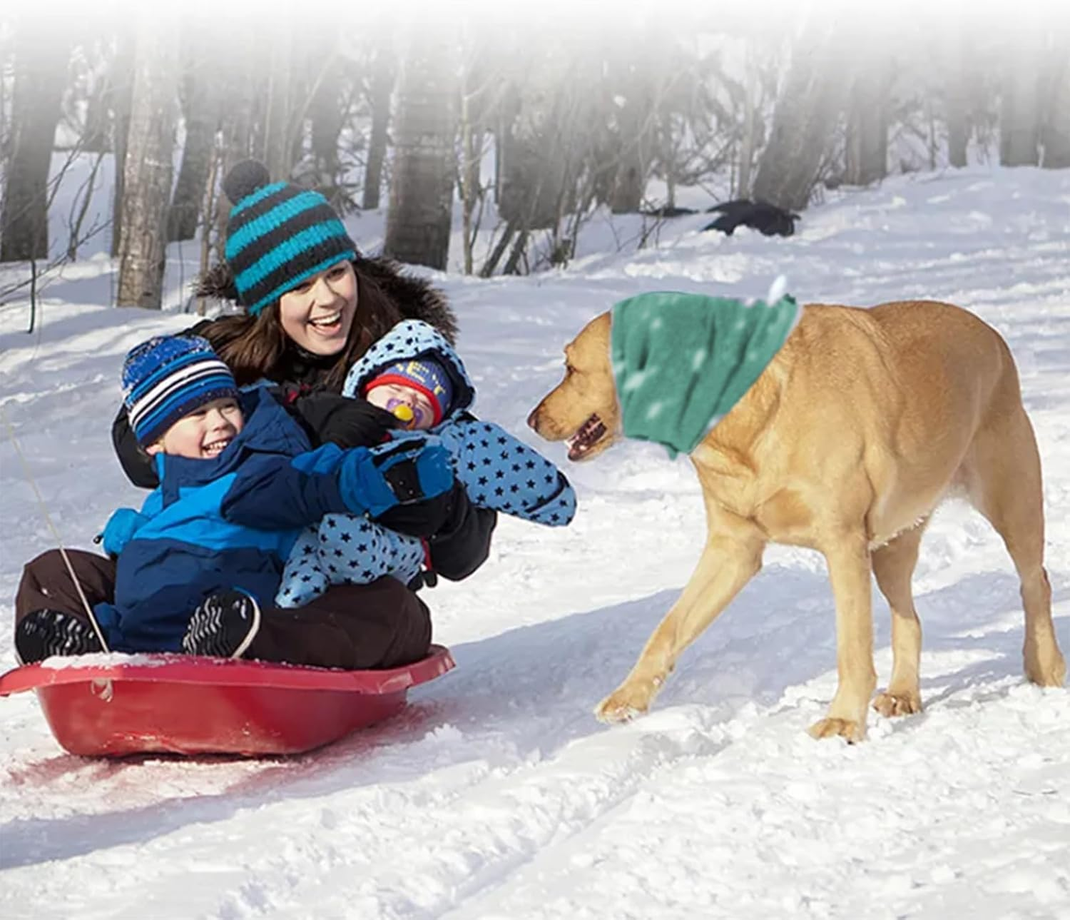 JoyChong Dog Ear Muffs Noise Protection, Head Cover and Neck Warmer, Adjustab... - Picture 7 of 15