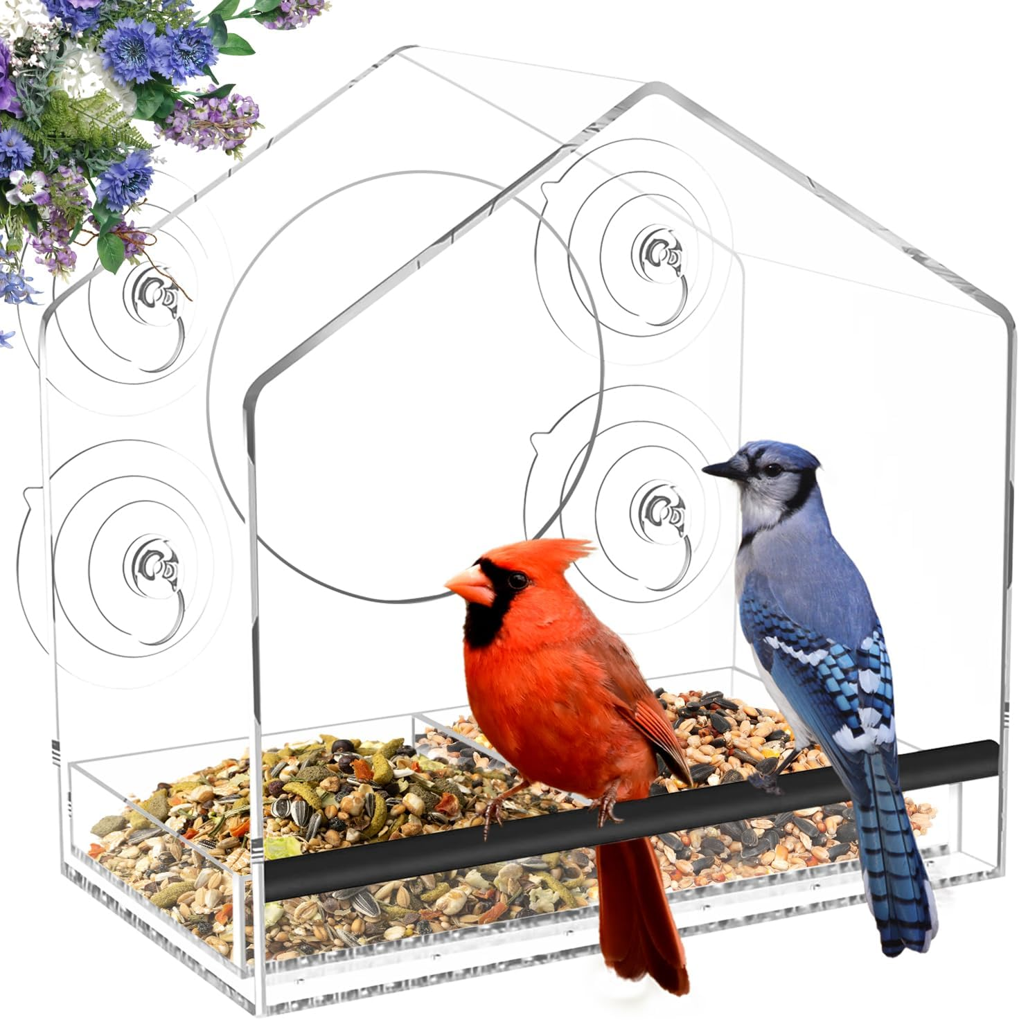 Window Bird Feeder with 4 Extra Strong 2.36