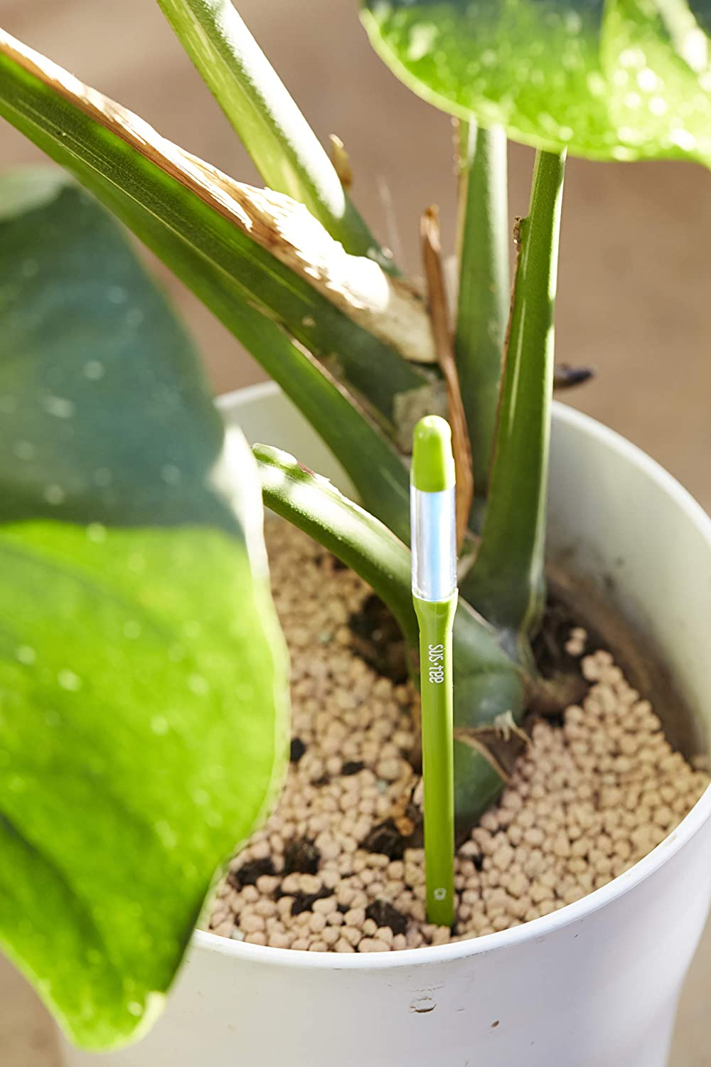 SUSTEE Watering Indicator (Set of 2) - Tells You When to Water - Works for Al... - Picture 11 of 15