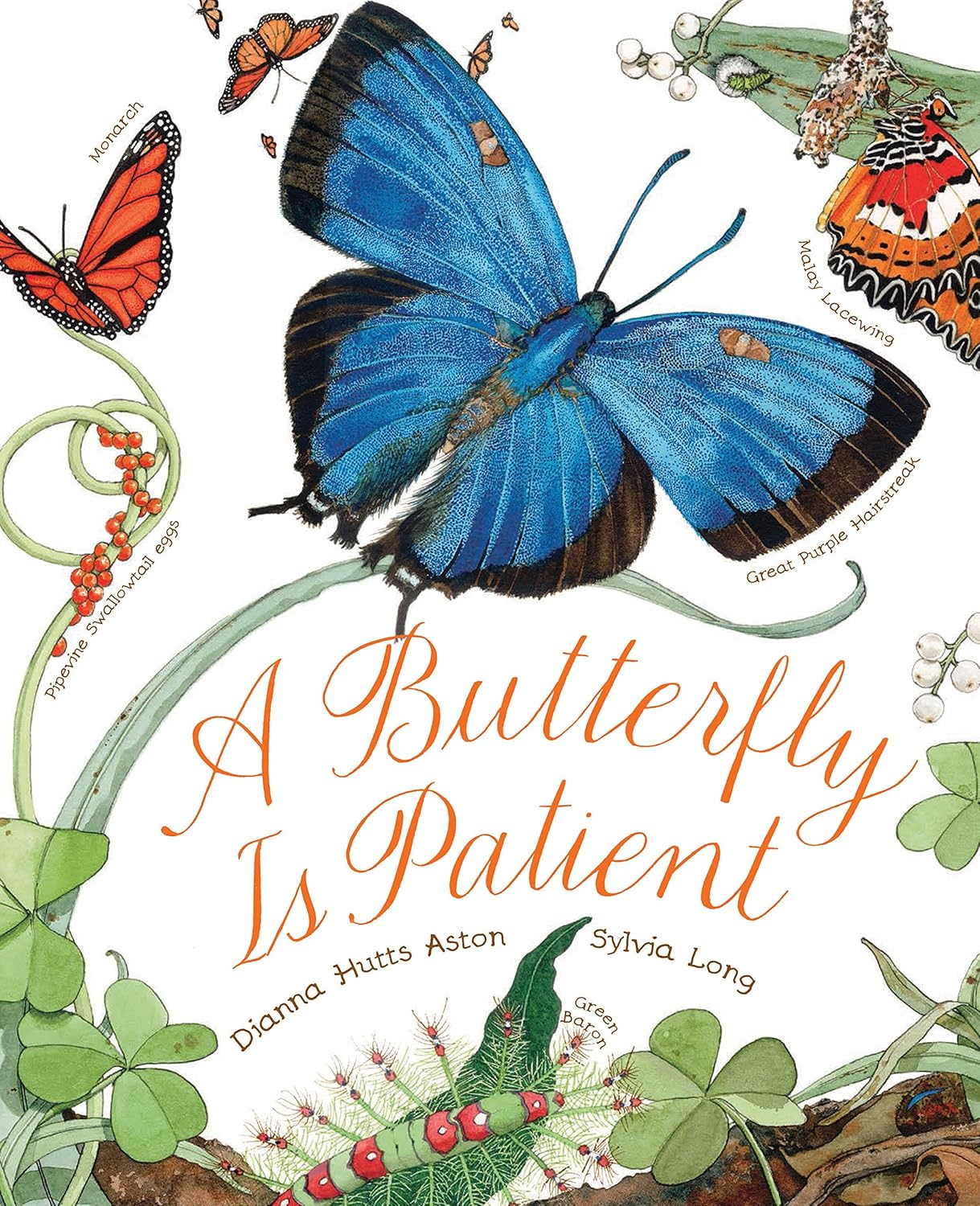 A Butterfly Is Patient: (Nature Books for Kids, Children'S Books Ages 3-5, Award Winning Children'S Books) (Sylvia Long)