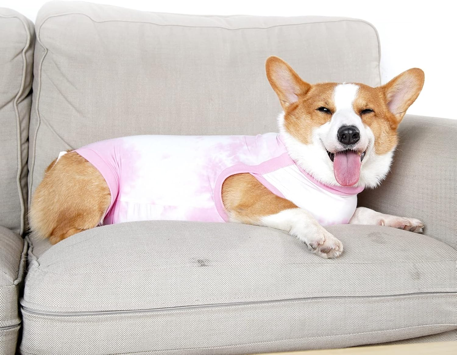 KIKNIN Recovery Suit for Dogs After Surgery, Post Spay, Neuter, Body Suit for... - Picture 9 of 22