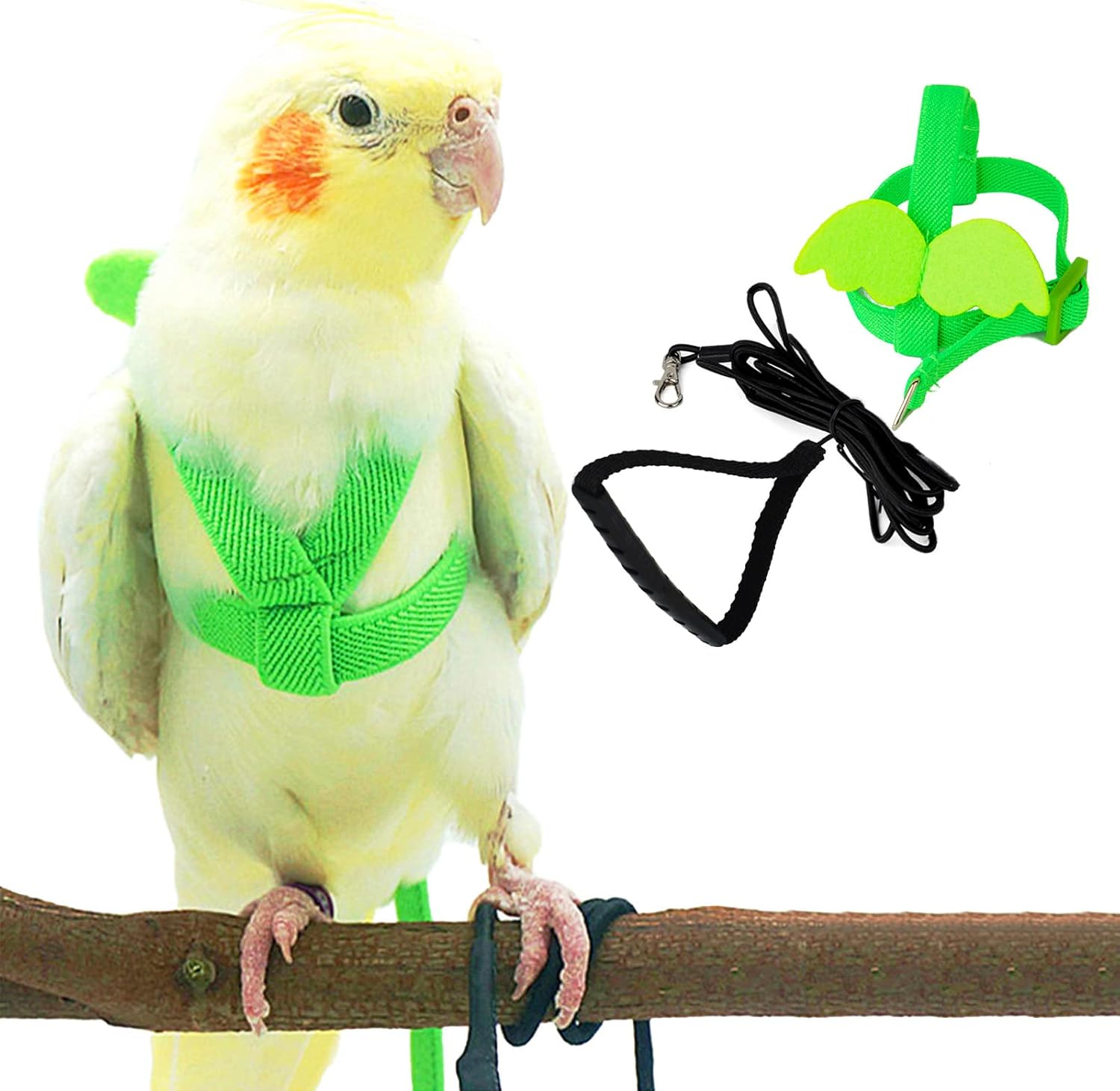Arnes y Correa para Loro Ajustable con Alas Antimordida para Aves Verdes