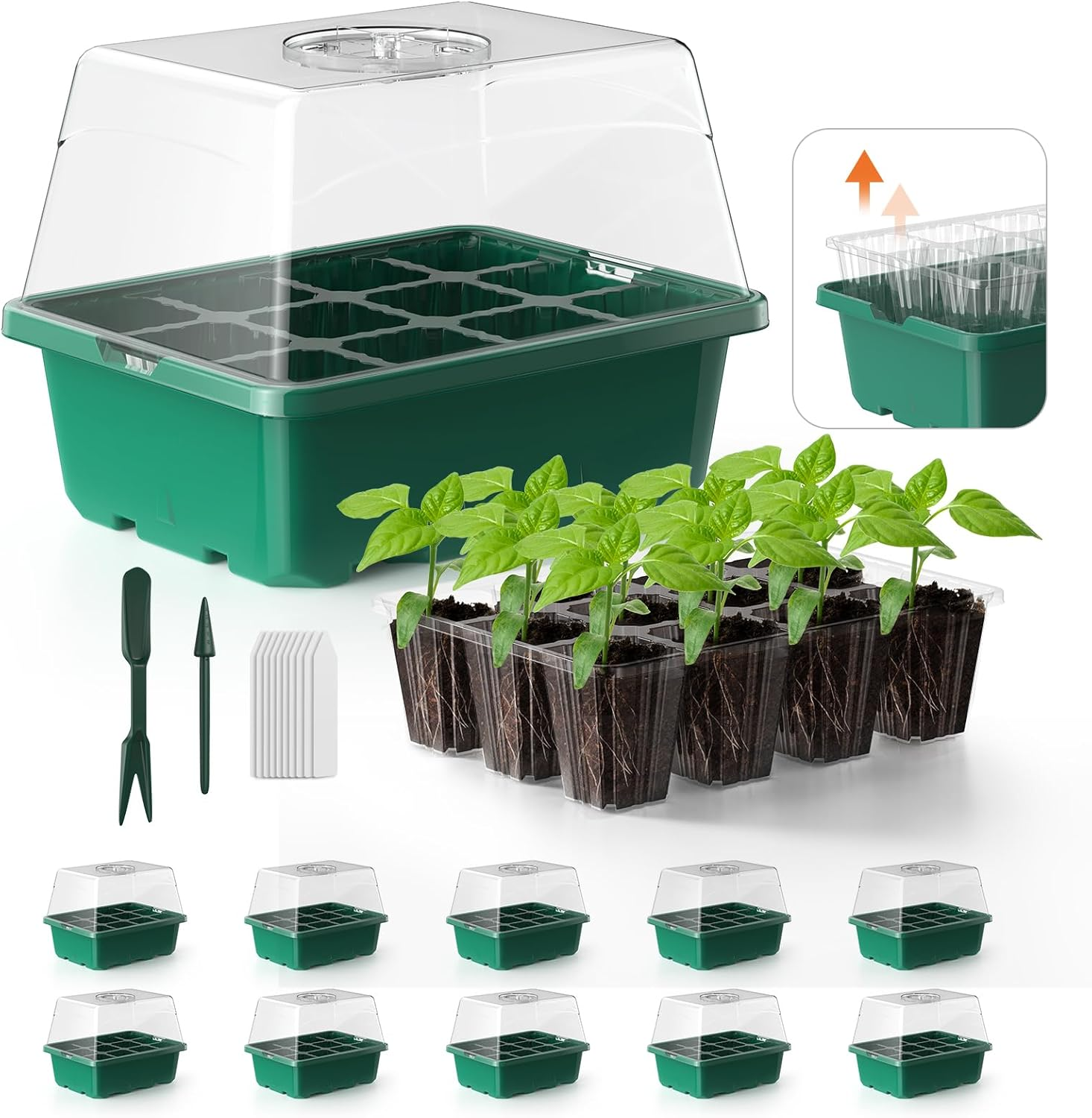 Seed Starter Tray, 10PCS Seed Starter Kit, Seedling Starter Trays with Heightened Lids for Seed Staring, Indoor Gardening Plant Germination Trays (12 Cells per Tray) Green