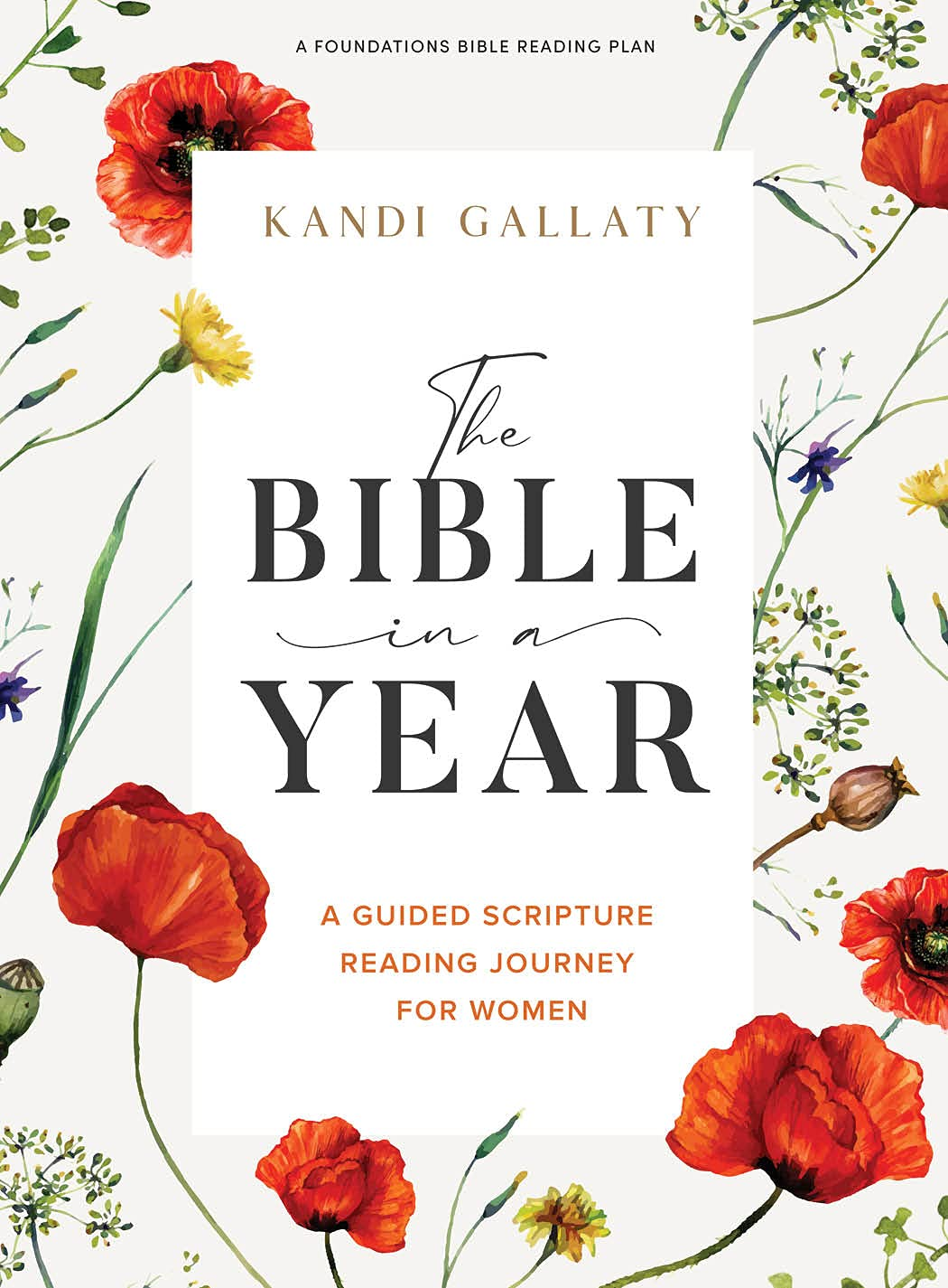 The Bible in a Year - Bible Study Book: a Guided Scripture Reading Journey for Women