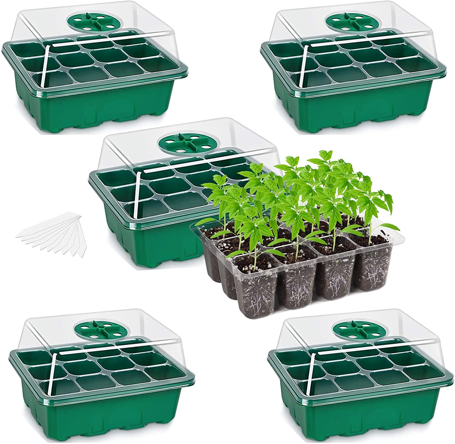 5-Pack Seed Starter Trays, Seed Starter Kit with Adjustable Humidity Dome and Base Indoor Greenhouse Mini Propagator for Seeds Growing Starting (12 Cells per Tray, Green)