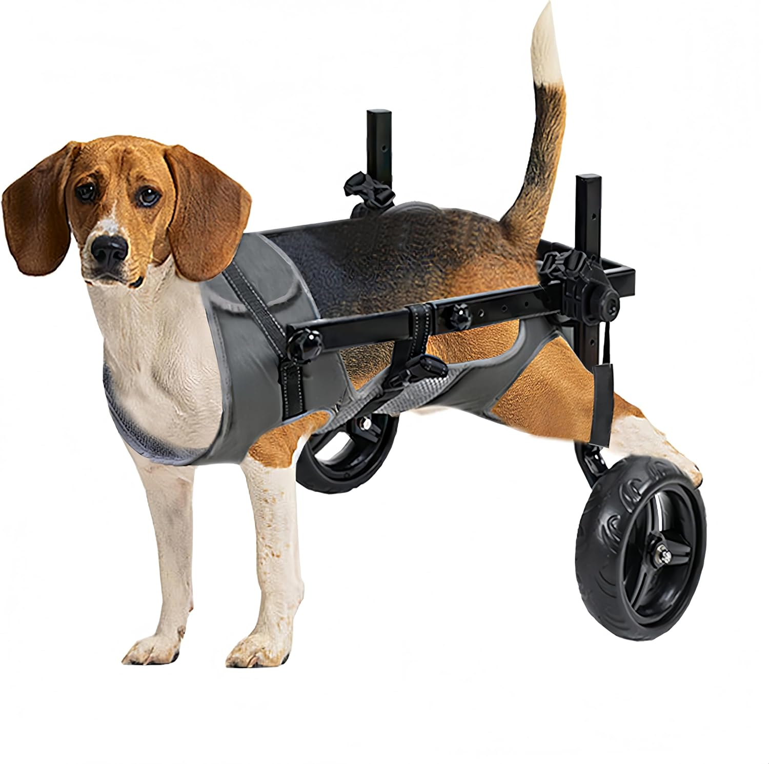 KAJILE Foldable and Adjustable Two-Wheeled Wheelchair for Pets,Dog Wheelchair... - Picture 9 of 19