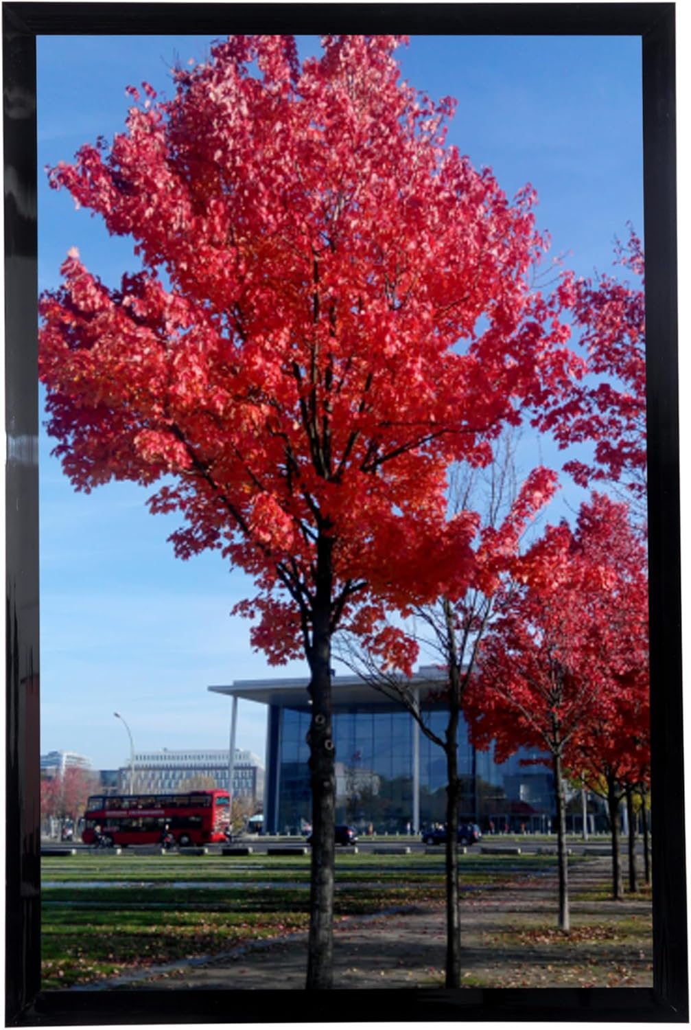 Medog 9X12 Picture Frame Black, Display Pictures 9X12 Document Certificate Frame, Wall Hanging Photo Frame, 1 Pack