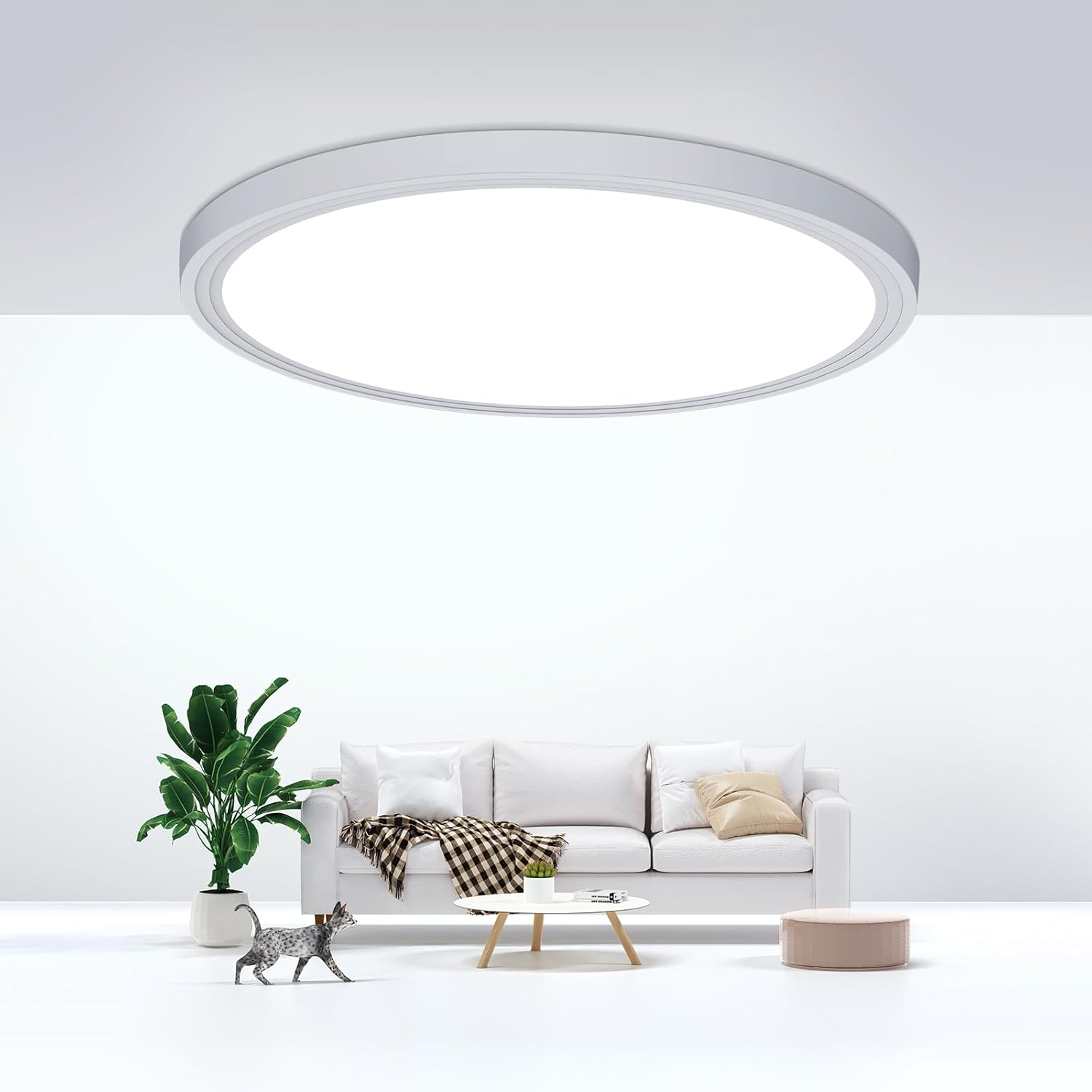 Flush Mount Ceiling Light Fixtures,24W Flat Led Light for Ceiling,6000K 2200LM Ultra Thin round White Lamp for Bedroom Kitchen,Bathroom,Garage,Living Room, Hallway