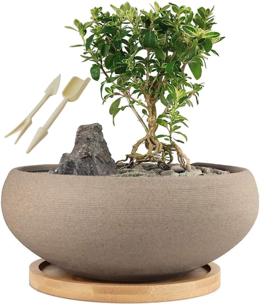 round Unglazed Ceramic Bonsai Pot with Bamboo Tray, Large Rough Pottery  Succulen | eBay