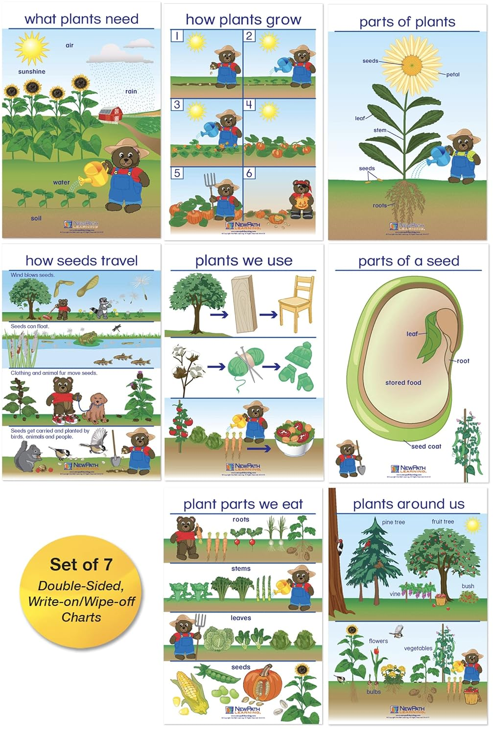Newpath All about Plants Bulletin Board Charts - English Version, Set/8 - Laminated, Double-Sided, Full-Color, 12