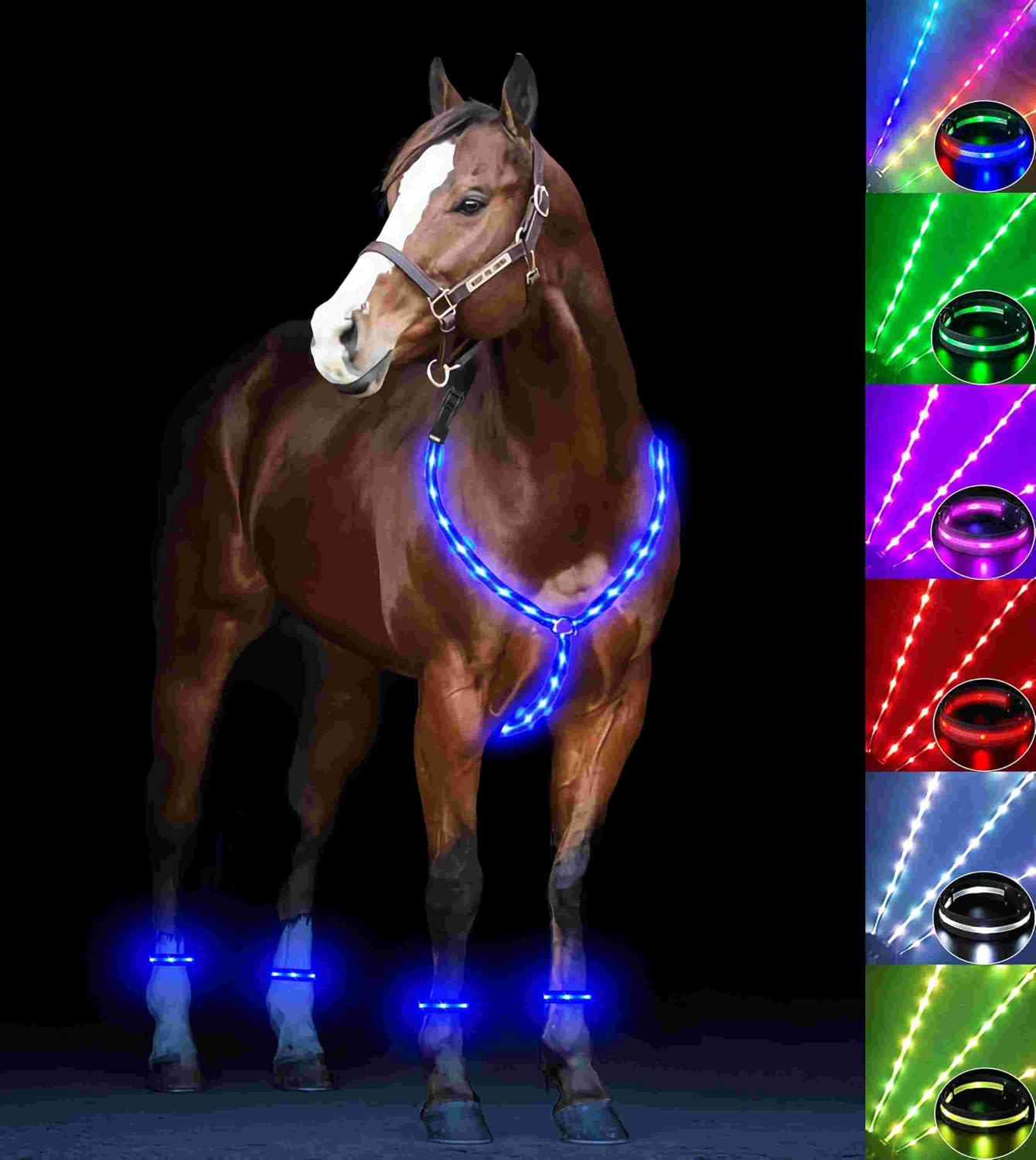5Pcs LED Horse Breastplate Collar & Leg Band, 7 Colors in 1 Light up Horse Tack Set, USB Rechargeable LED Horse Harness & Leg Strap - Added Visibility & Safety for Night Horse Riding