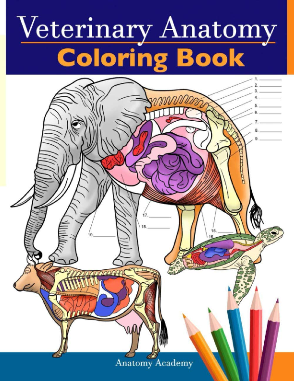 Veterinary Anatomy Coloring Book: Animals Physiology Self-Quiz Color Workbook for Studying and Relaxation | Perfect Gift for Vet Students and Even Adults