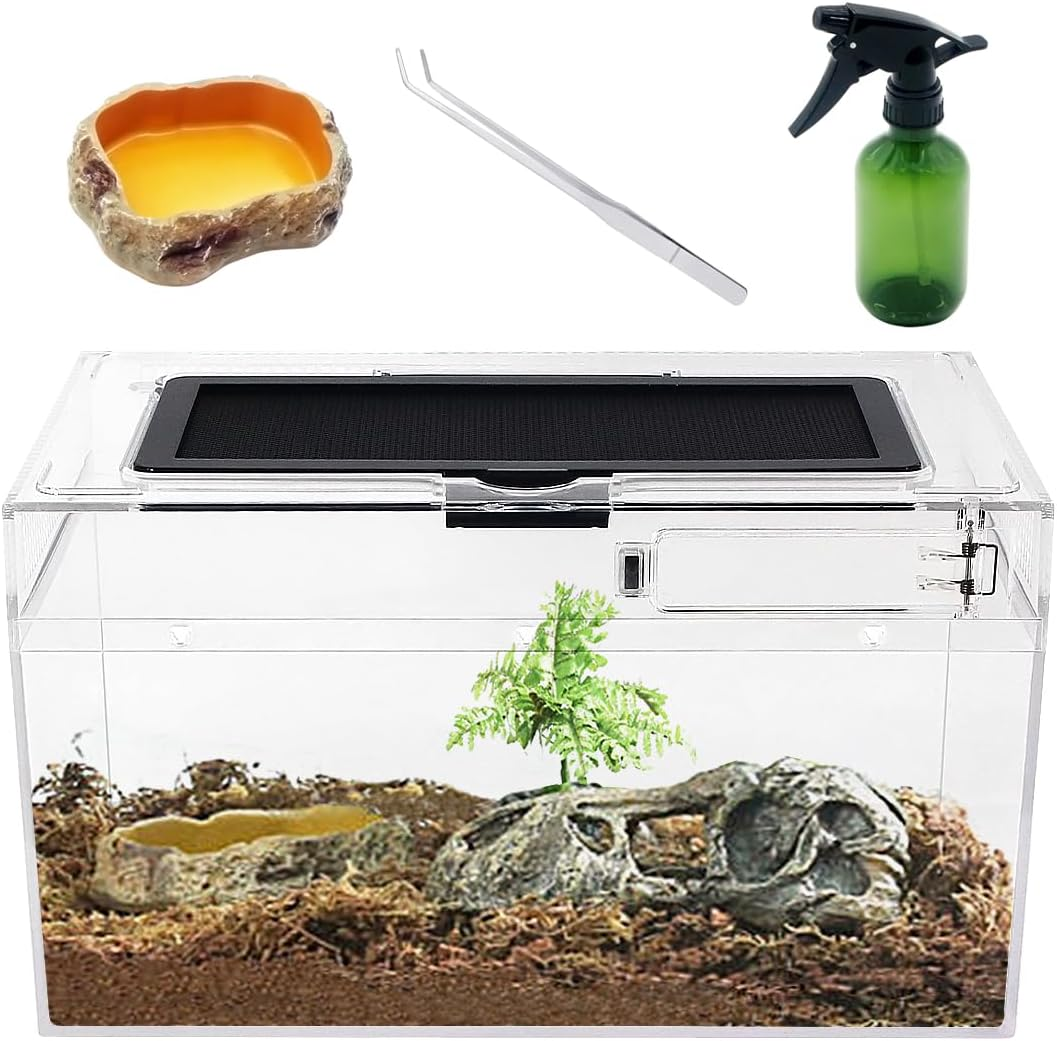Mini Reptile Terrarium Set,12
