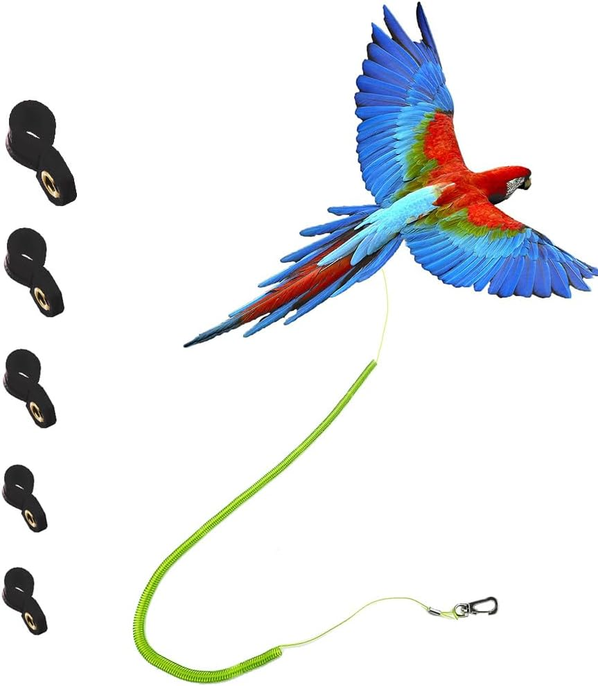 Parrot Bird Harness Leash Stretchable to 5 Meters Anti-Bite Outdoor Flying Training Rope with 5Pcs Different Sizes of Soft Foot Loops(Upgraded Version)