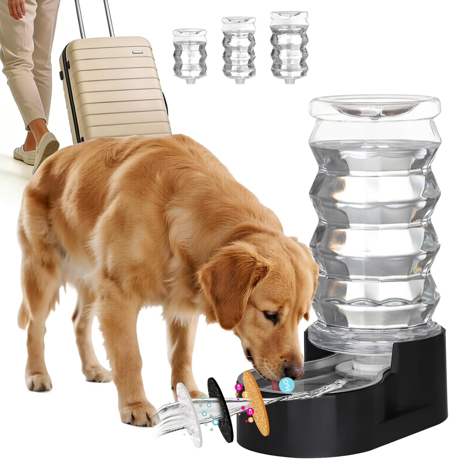 Dog Water Bowl Dispenser : 8L Gravity Large Black Stainless Steel Automatic Feeder with Triple Filter - No Spill - Easy Clean - for Energetic Dog Owners - Multi-Pet Families -Backyard -Balcony