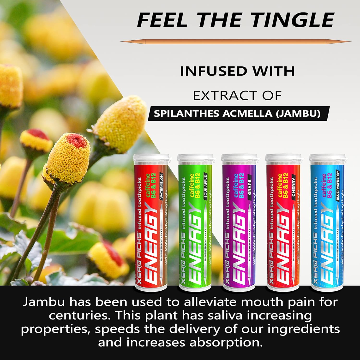 Xero Picks Energy Infused Flavored Toothpicks with Caffeine, B12 and B6 (Vari... - Picture 5 of 14
