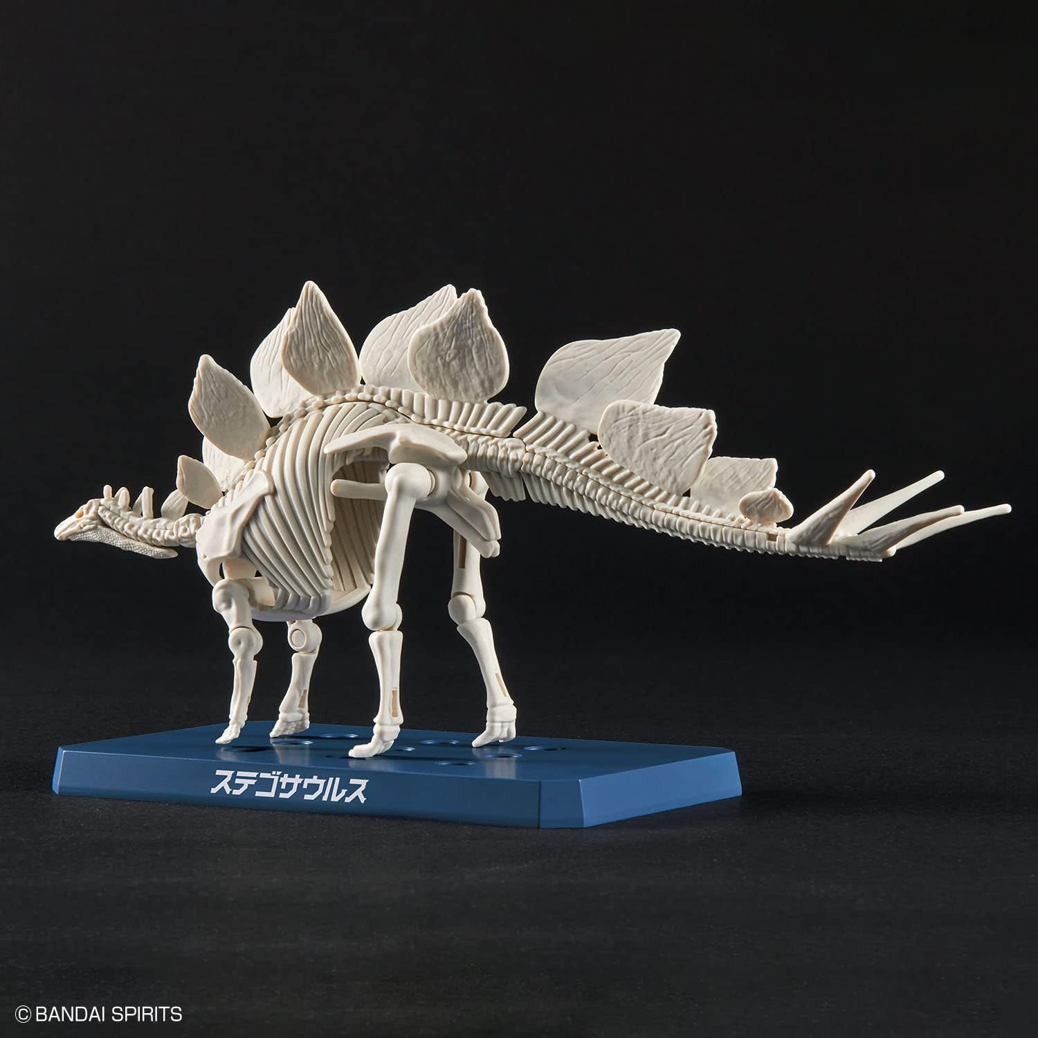 Bandai Hobby Kit Plannosaurus Stegosaurus - Picture 9 of 14