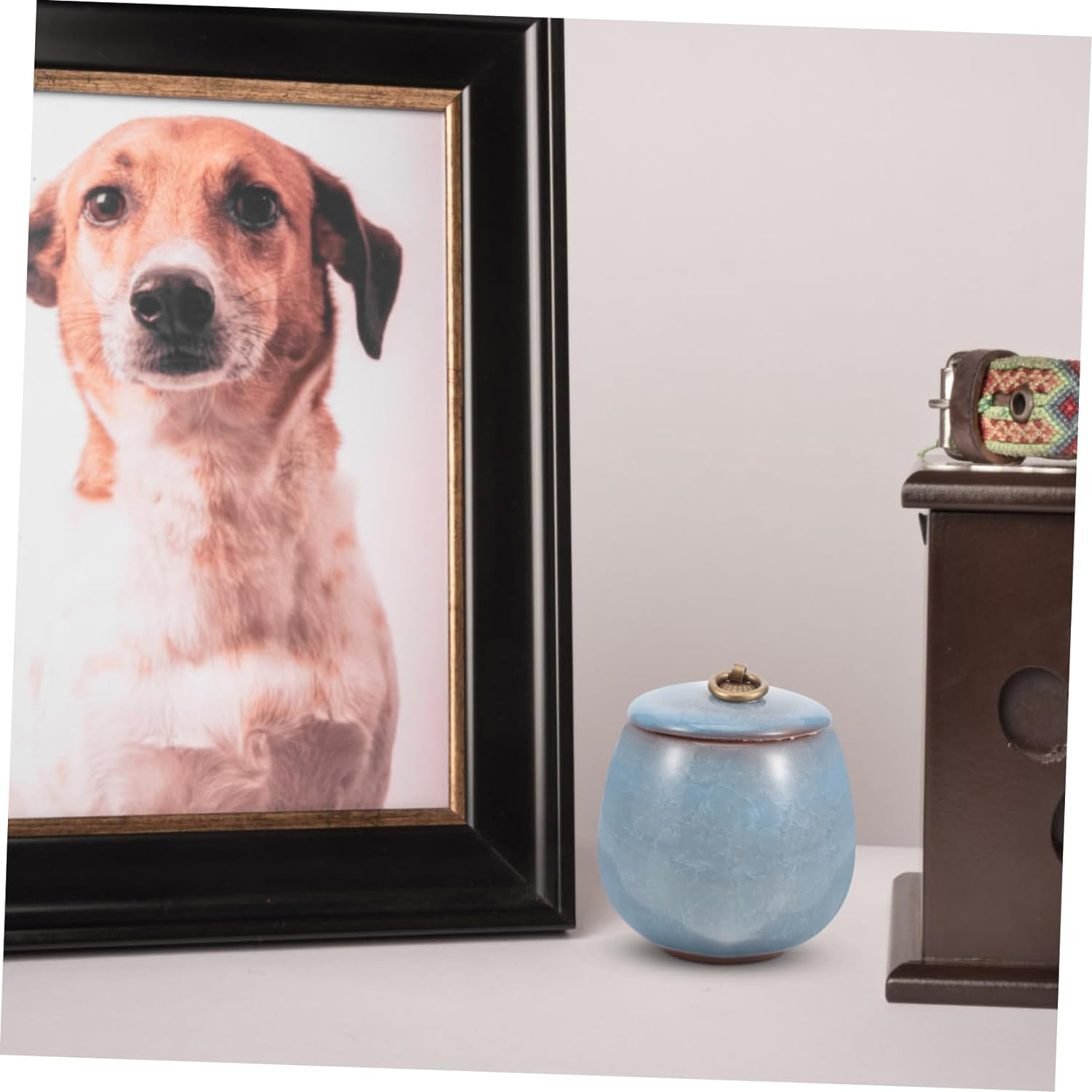 minkissy Pet Urn Urns Pet Cremation Urn Small Urn Dog Ashes Urn Medium Urn Do... - Picture 11 of 12