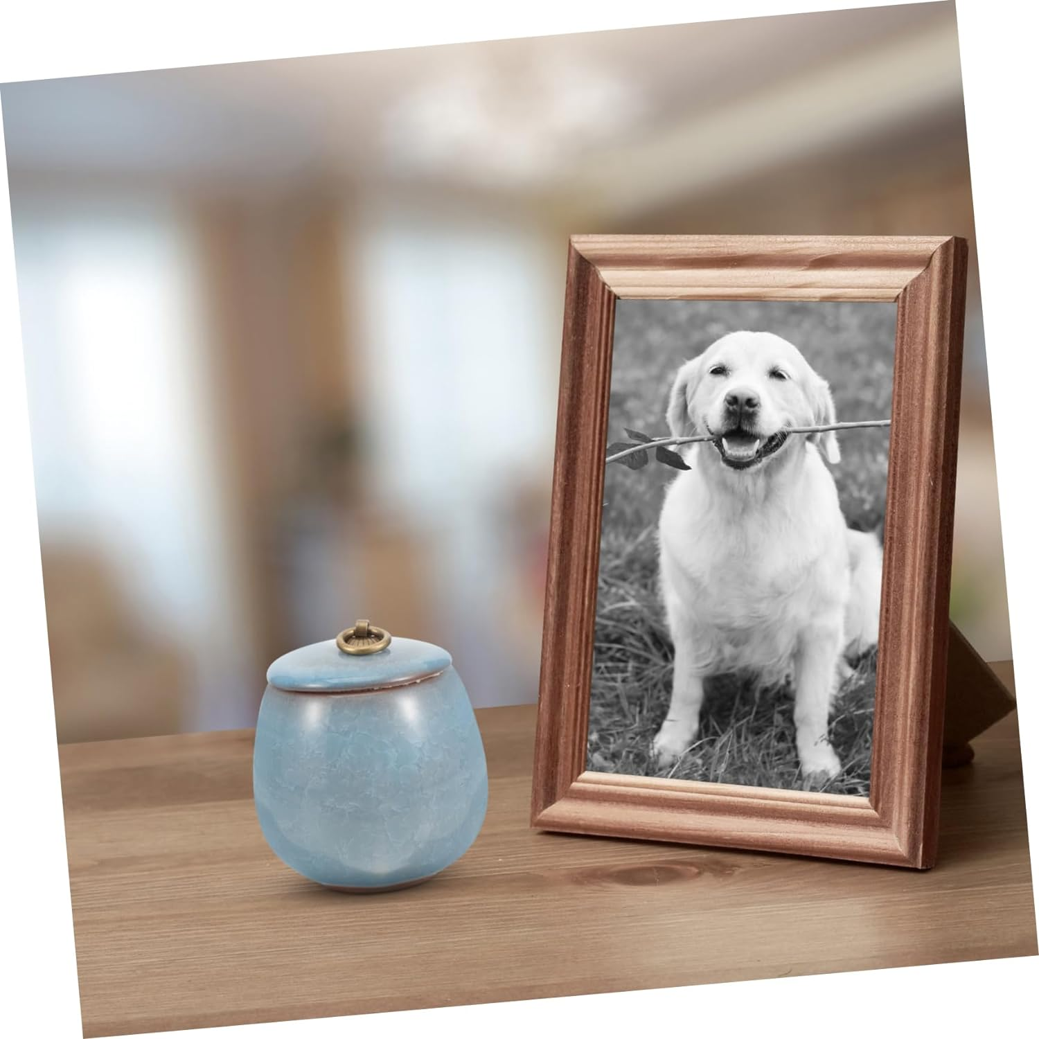 minkissy Pet Urn Urns Pet Cremation Urn Small Urn Dog Ashes Urn Medium Urn Do... - Picture 8 of 12