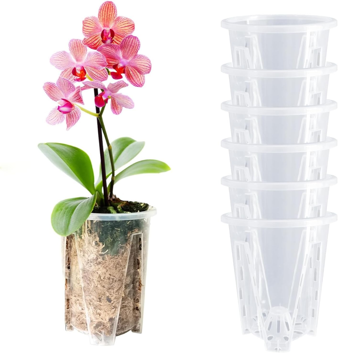 Orchid Pot, 3.9''W  4.8''H 6 Pack,Orchid Pots with Holes,Sturdy Clear  Plastic O