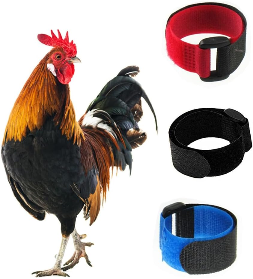 Paquete De 3 Collares Para Gallos Sin Cuervos, Collares Para Pollos Con Anti