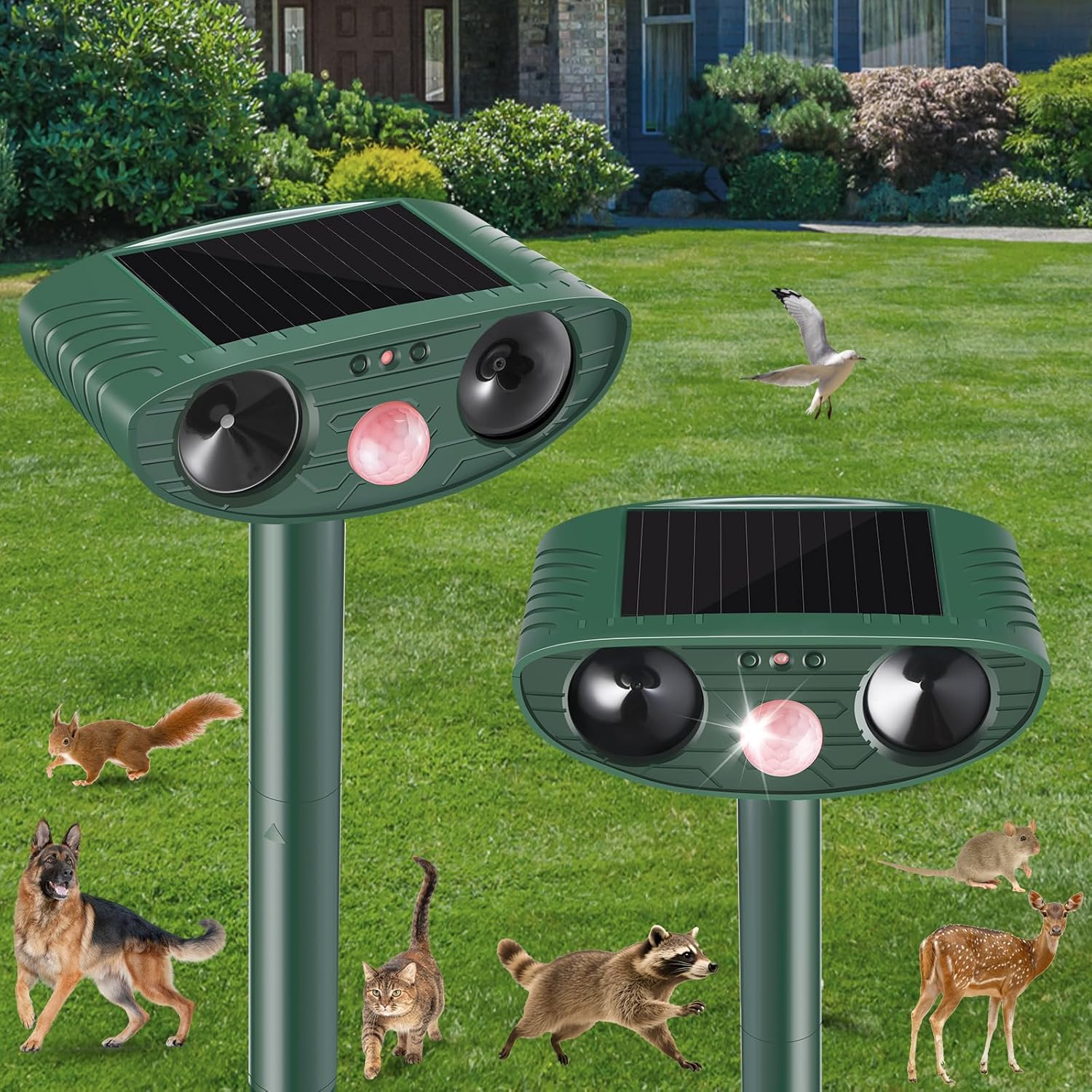 Solar Ultrasonic Cat and Animal Repellent with Motion Detector and LED Light (2)