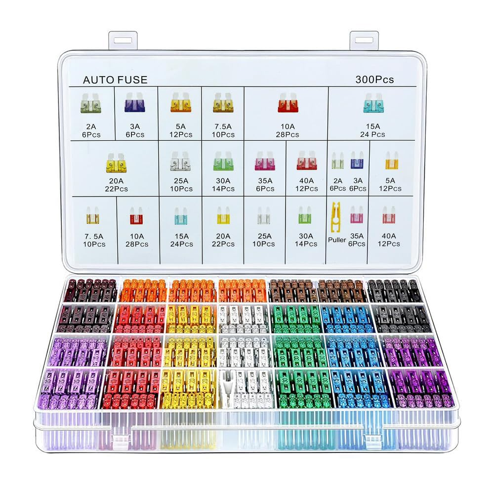 300Pcs Car Fuse Assortment Kit, 160 Mini Blade Fuses Automotive + 90 Standard Auto Fuses + 50 Micro Fuse + 1 Puller – for Car/Rv/Truck/Motorcycle(2Amp 3A 5A 7.5A 10A 15A 20A 25A 30A 35A 40A)