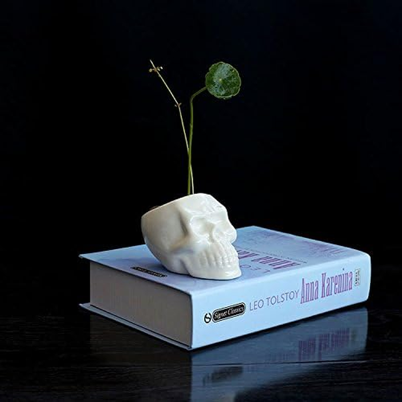 Wish you have a nice day Set of 2 Modern Skull White Ceramic Succulent Plante... - Picture 4 of 14