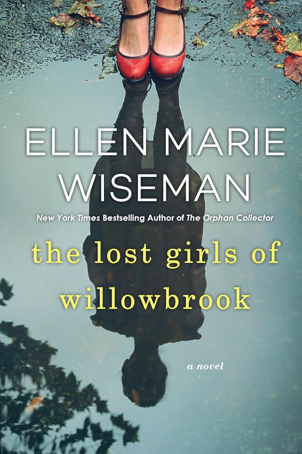 The Lost Girls of Willowbrook: a Heartbreaking Novel of Survival Based on True History