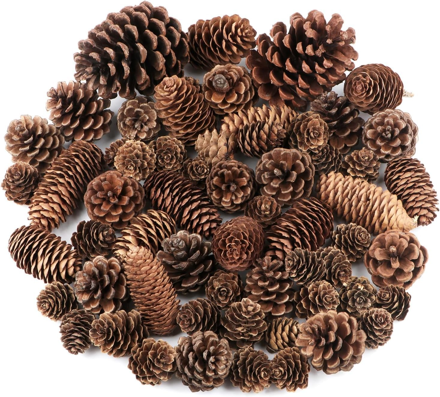 60 Pine Cones Decorations - Natural Bulk Package, Large Medium & Mini Sizes - Rustic Pine Cone Ornaments for Table, Christmas Tree, Crafts, Gifts, Thanksgiving, Xmas Home Decor