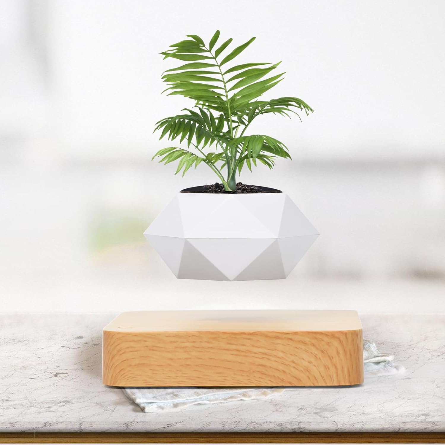 Magnetic Levitating Plant Pot - Floating Succulent Holder for Home & Office  Deco | eBay
