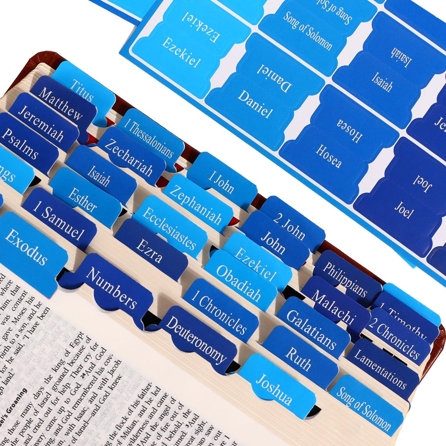 Blue Bible Tabs for Men'S Bible Studies & Small Groups,Large Print Tabs Fits NIV