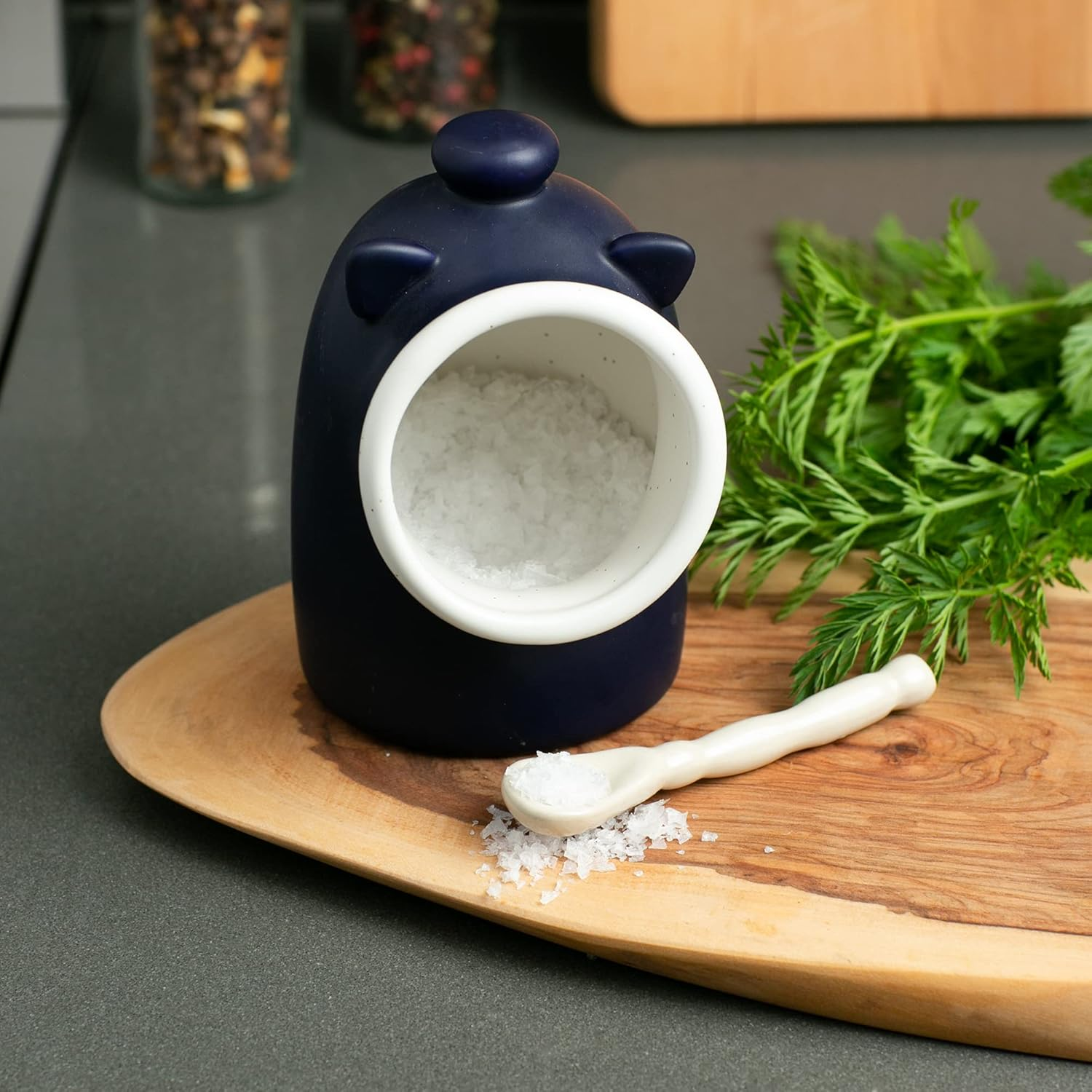 RSVP International Stoneware Salt Pig and Spoon Set, Wide Mouth, Dishwasher S... - Picture 3 of 15