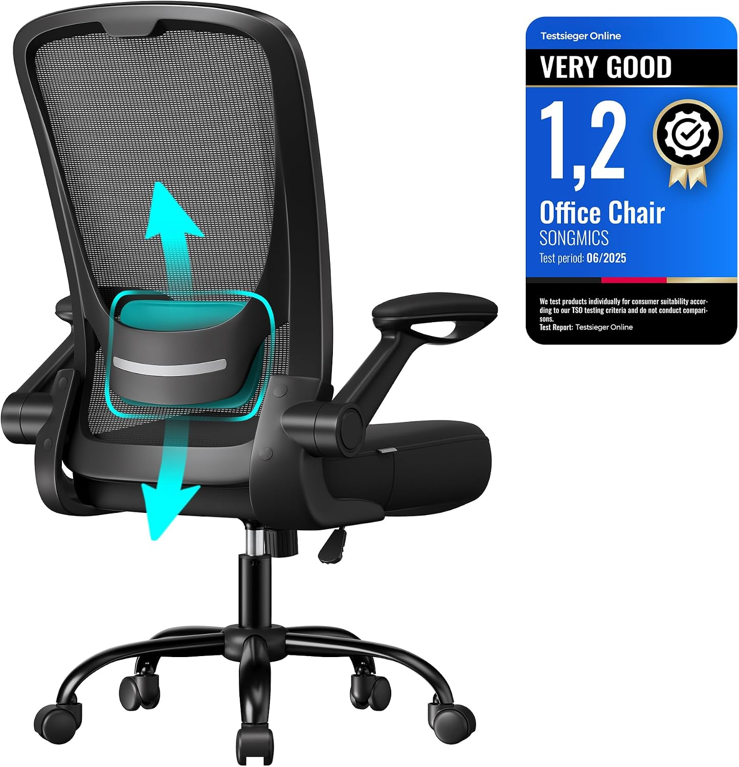 Office Chair, Desk Chair with Mesh Back, Ergonomic Computer Chair, with Adjustable Lumbar Support Cushion, Rocking Function, 53 Cm Wide Seat, Flip-Up Armrests, Black OBN37BKUK