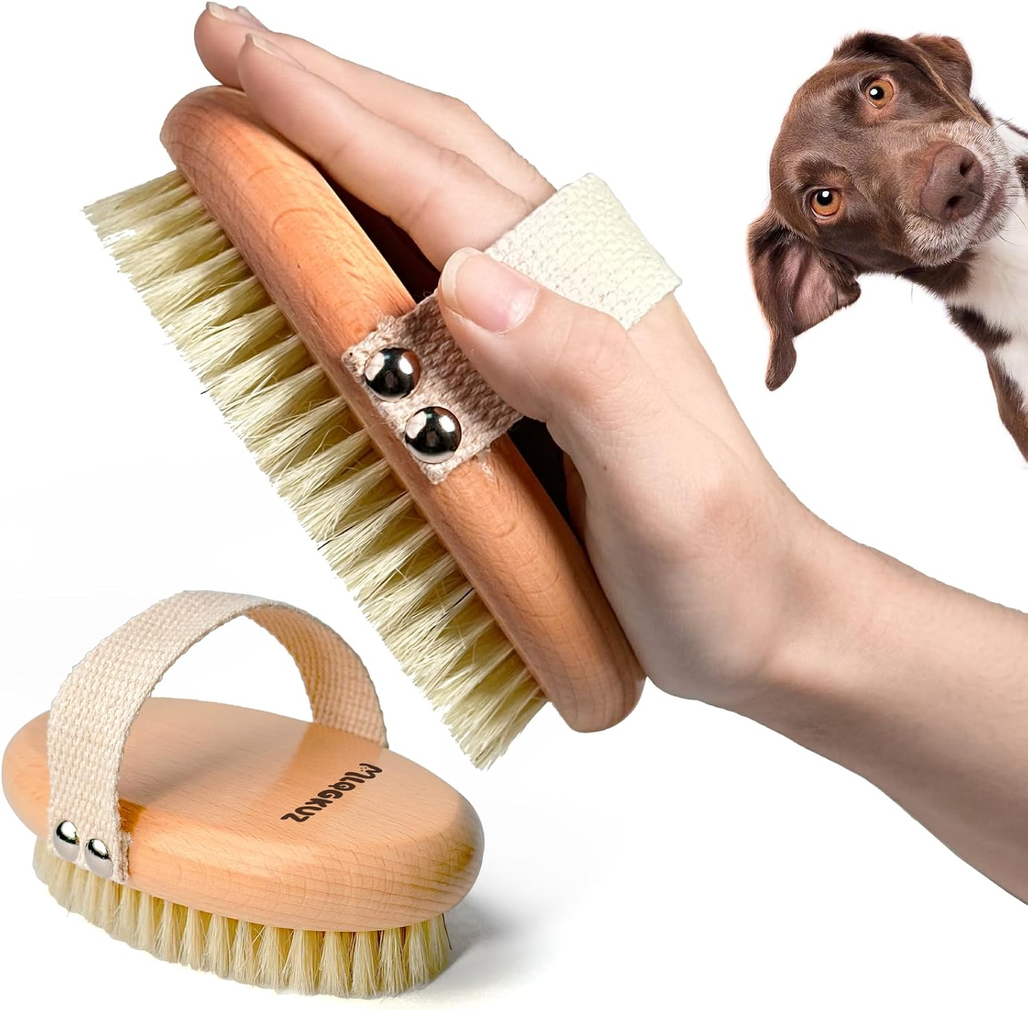 Boar Bristle Dog Brush for Short Hair Pets Shedding Control Grooming Tool Red