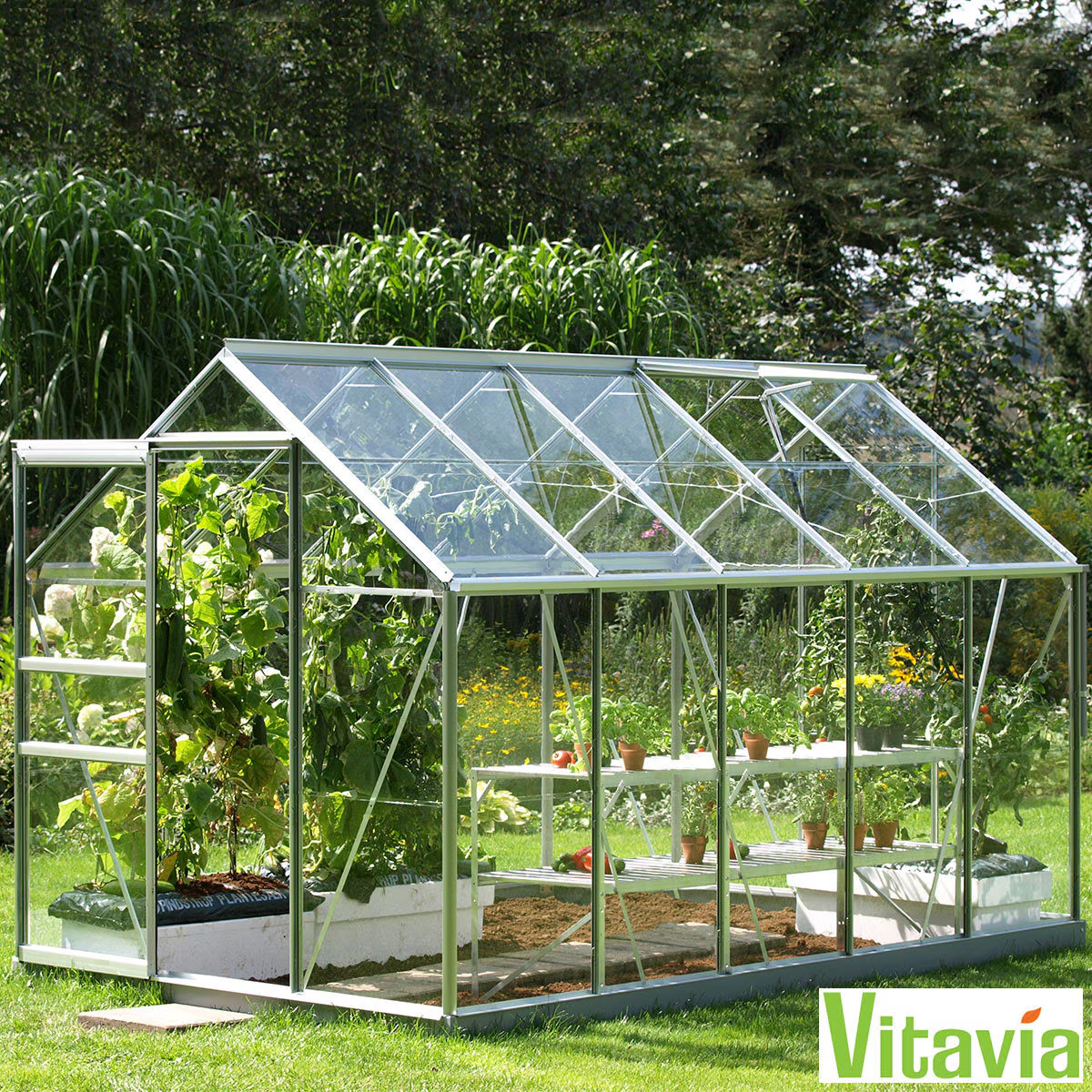 Vitavia Vermont 6200 6Ft 2