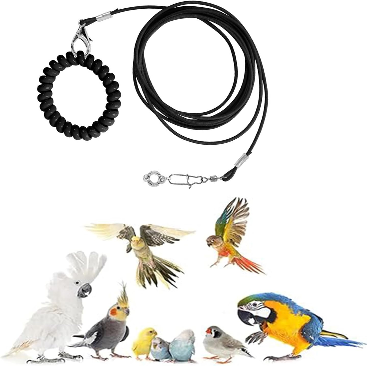 Roczential Bird Foot Chain Adjustable Bird Harness and Biting-Resistant Bird ... - Picture 7 of 15