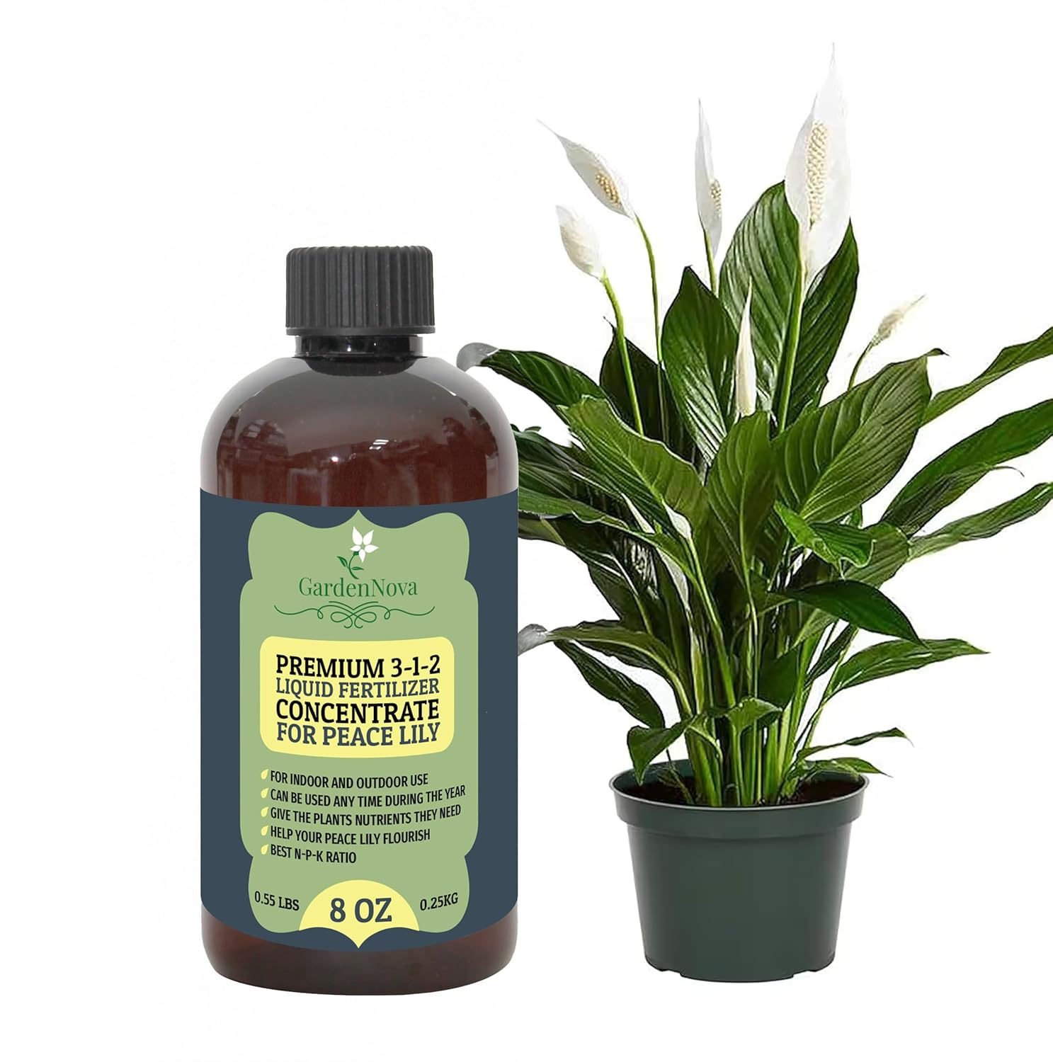 buy snake plant nz Sansevieria Black Coral – Johnny Jungle
