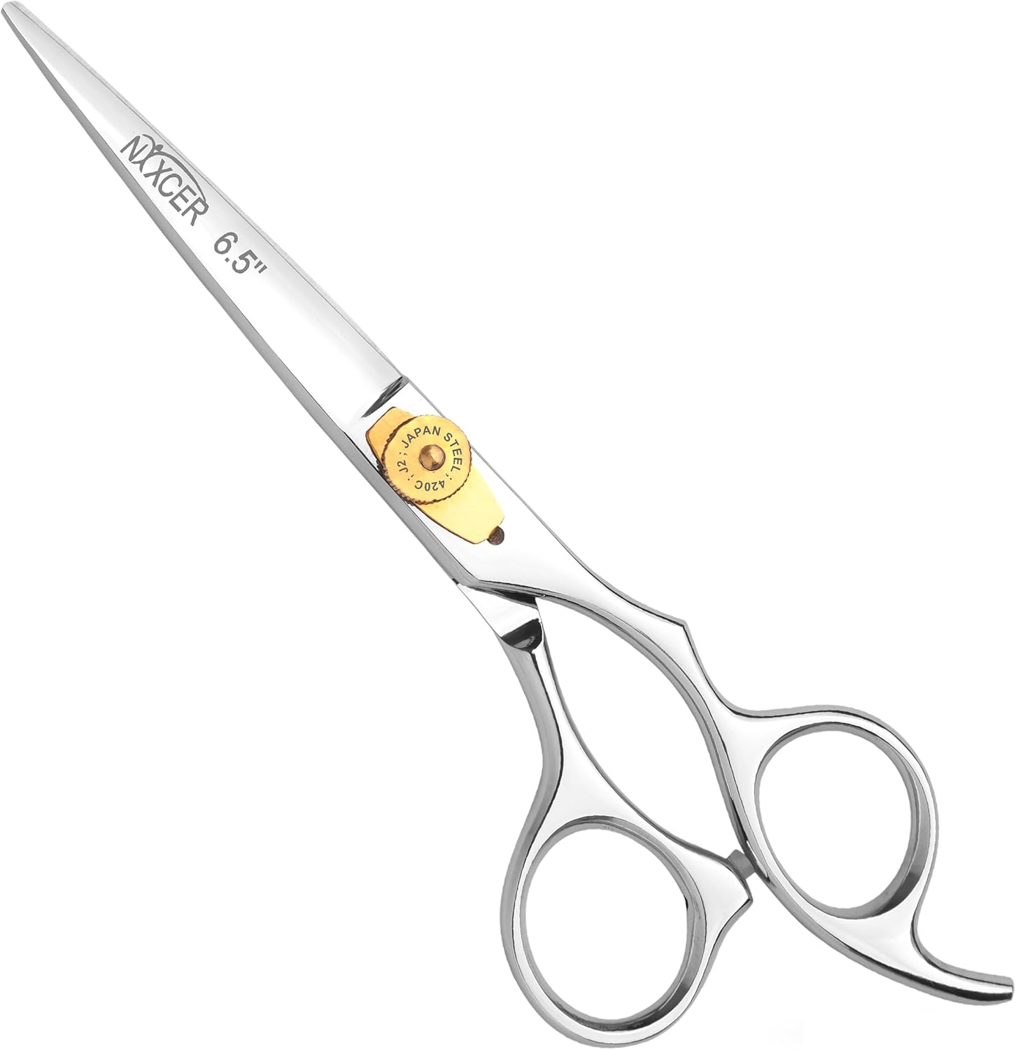 Professional Hair Cutting Scissors, 6.5 Inch Hairdressing Shears, Silver