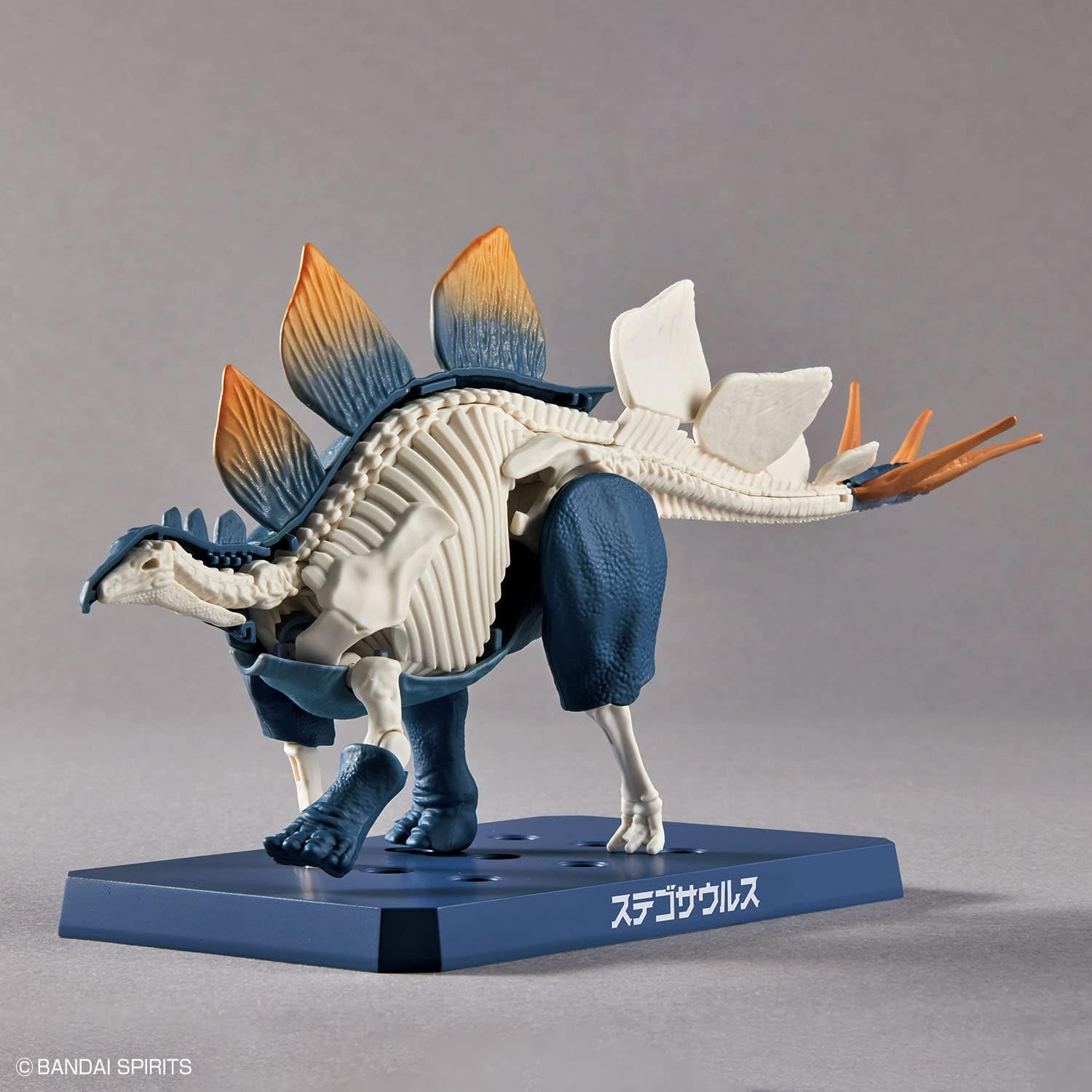 Bandai Hobby Kit Plannosaurus Stegosaurus - Picture 10 of 14
