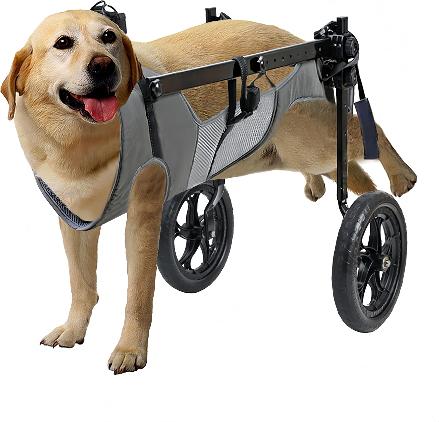 KAJILE Foldable and Adjustable Two-Wheeled Wheelchair for Pets,Dog Wheelchair... - Picture 13 of 19